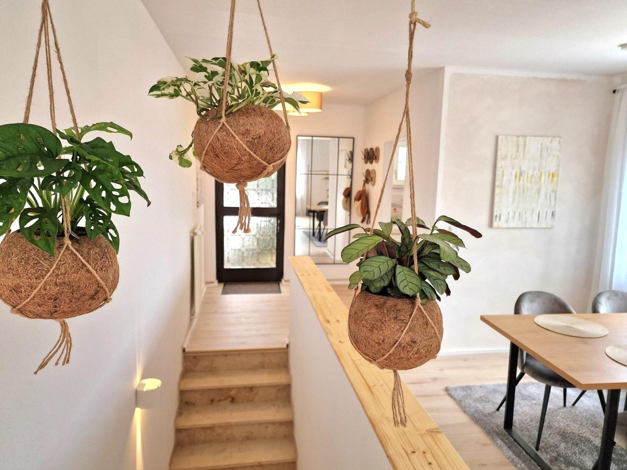 Apartment Willingenhome Willingen (Upland)